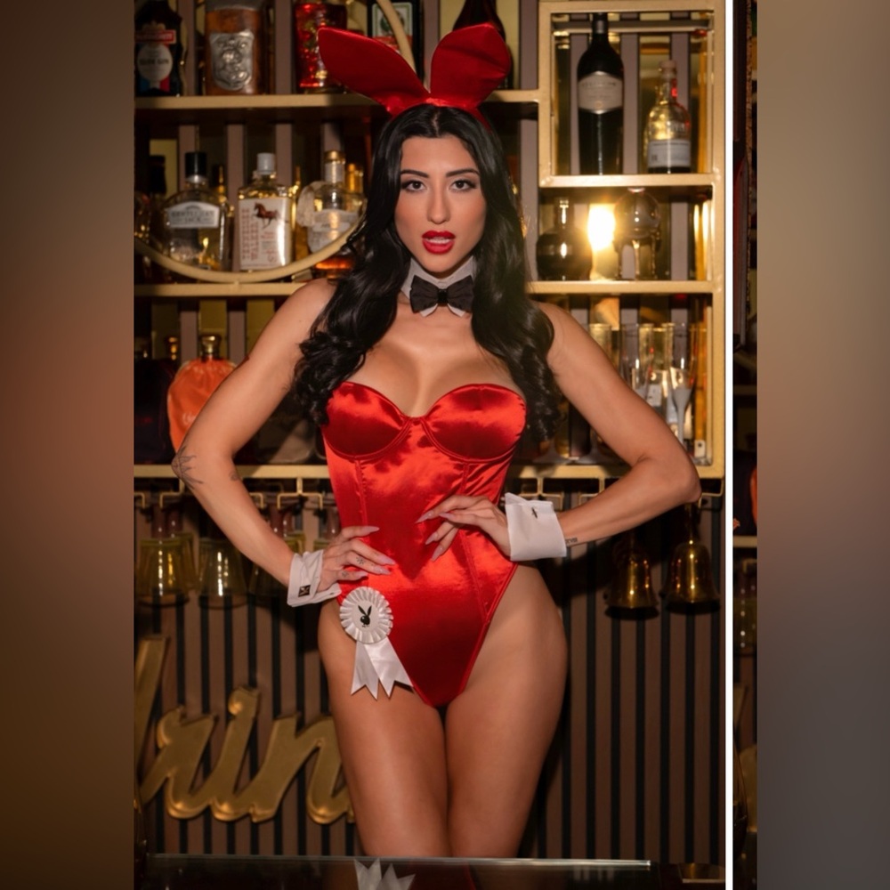 Classic PLAYBOY Blue Bunny Costume